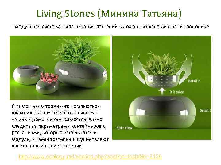 Living Stones (Минина Татьяна) - модульная система выращивания растений в домашних условиях на гидропонике