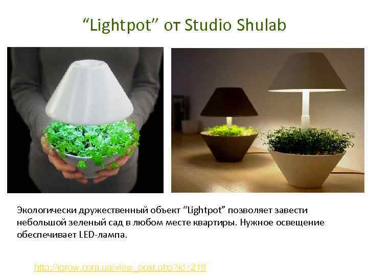 “Lightpot” от Studio Shulab Экологически дружественный объект “Lightpot” позволяет завести небольшой зеленый сад в