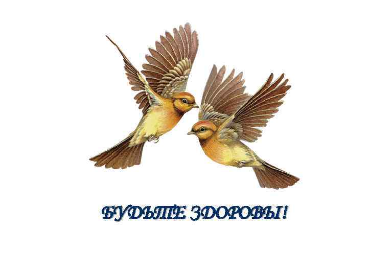 БУДЬТЕ ЗДОРОВЫ! 