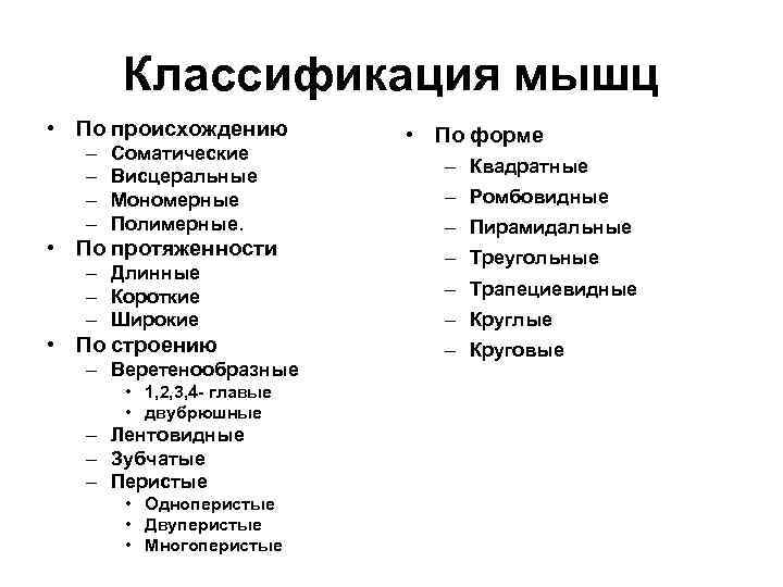 Классификация по происхождению. Классификация мышц по форме и положению. Классификация мышц по форме, по функциям. Классификация мышц по форме строению происхождению и функциям. Классификация мышц по функциям таблица.