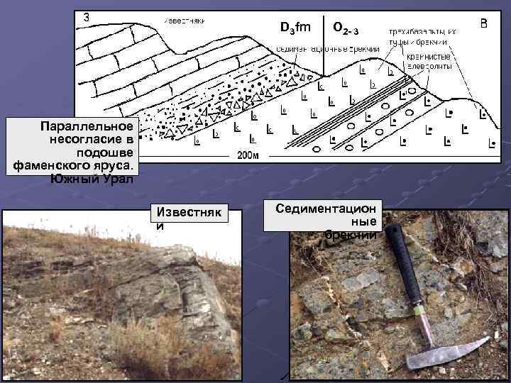 D 3 fm O 2 - 3 Параллельное несогласие в подошве фаменского яруса. Южный