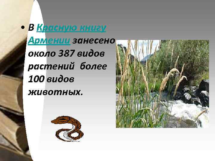  • В Красную книгу Армении занесено около 387 видов растений более 100 видов