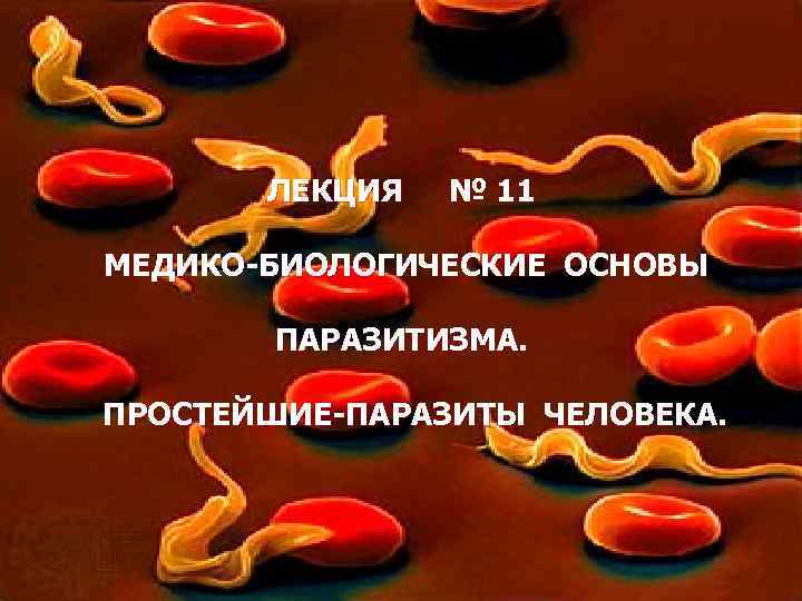 ЛЕКЦИЯ № 11 МЕДИКО-БИОЛОГИЧЕСКИЕ ОСНОВЫ ПАРАЗИТИЗМА. ПРОСТЕЙШИЕ-ПАРАЗИТЫ ЧЕЛОВЕКА. 