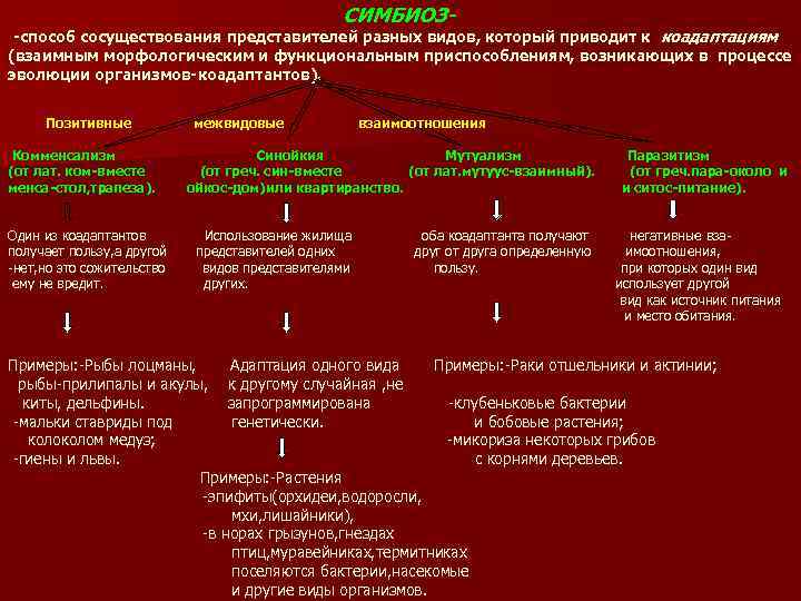 СИМБИОЗ- -способ сосуществования представителей разных видов, который приводит к коадаптациям (взаимным морфологическим и функциональным