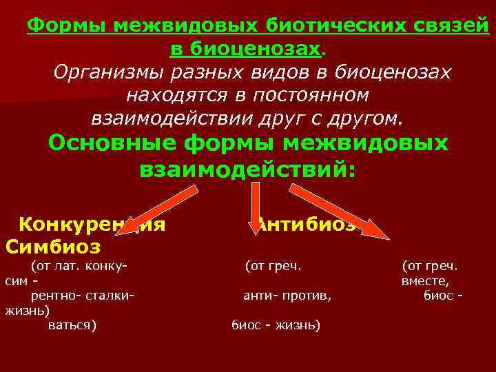 Формы межвидовых биотических связей в биоценозах. Организмы разных видов в биоценозах находятся в постоянном