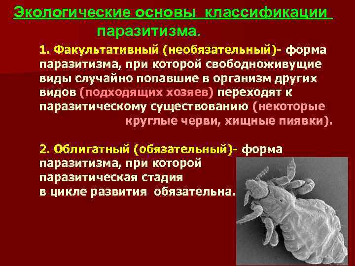 Экологические основы классификации паразитизма. 1. Факультативный (необязательный)- форма паразитизма, при которой свободноживущие виды случайно