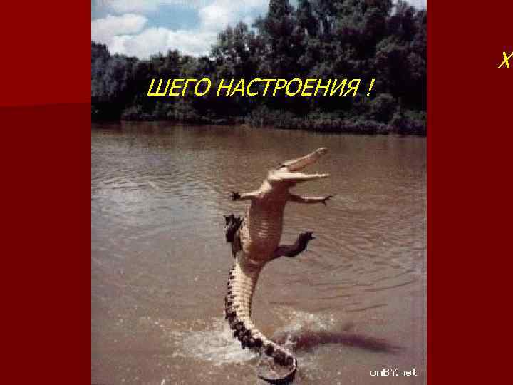 ШЕГО НАСТРОЕНИЯ ! ХО 