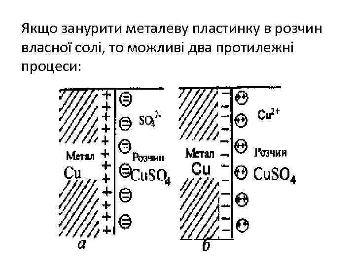 Якщо занурити металеву пластинку в розчин власної солі, то можливі два протилежні процеси: 