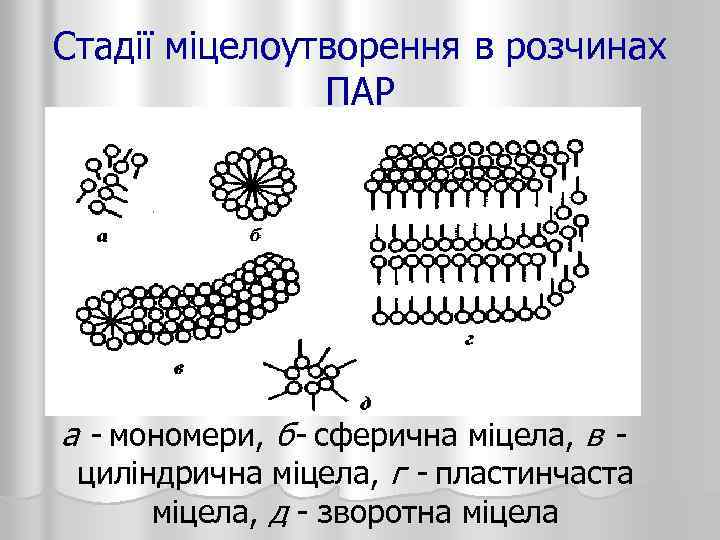 Стадії міцелоутворення в розчинах ПАР а - мономери, б- сферична міцела, в - циліндрична