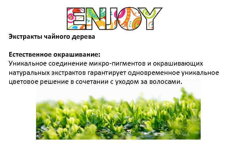 Экстракты чайного дерева Естественное окрашивание: Уникальное соединение микро-пигментов и окрашивающих натуральных экстрактов гарантирует одновременное