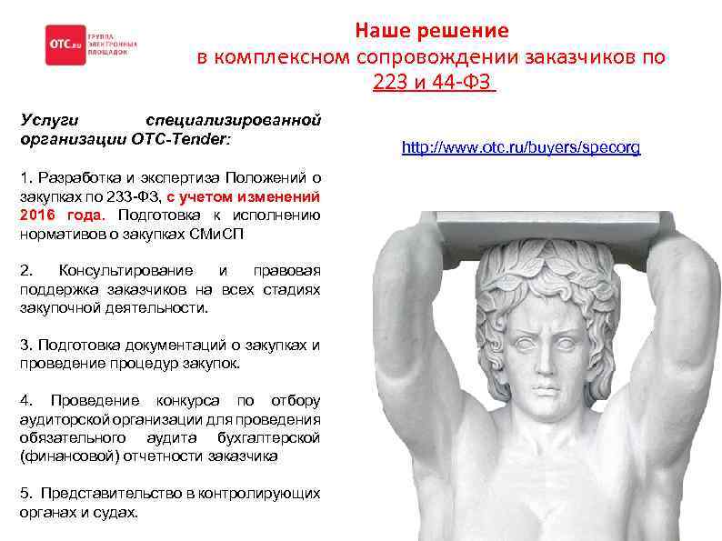 Наше решение в комплексном сопровождении заказчиков по 223 и 44 -ФЗ Услуги специализированной организации
