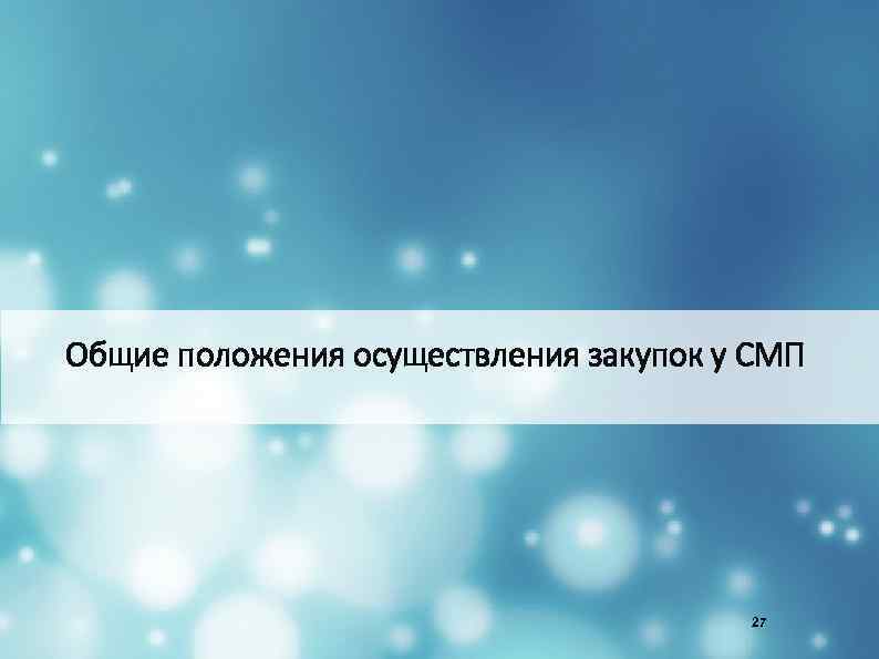 Общие положения осуществления закупок у СМП 27 