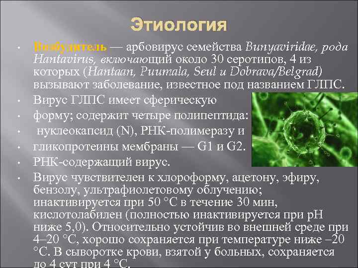 Этиология • • Возбудитель — арбовирус семейства Bunyaviridae, рода Hantavirus, включающий около 30 серотипов,