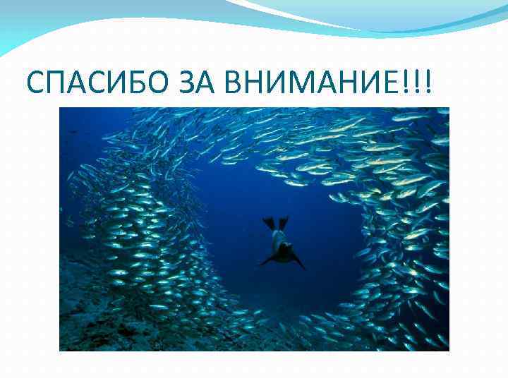 СПАСИБО ЗА ВНИМАНИЕ!!! 