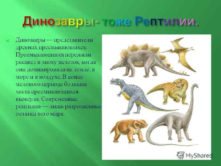 Конспект Знакомство С Земноводными Пресмыкающимися Крыма