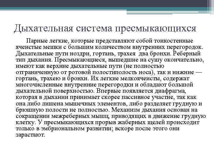 Дыхательная система пресмыкающихся Парные легкие, которые представляют собой тонкостенные ячеистые мешки с большим количеством
