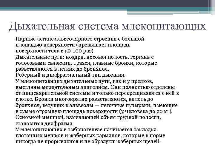 Дыхательная система млекопитающих Парные легкие альвеолярного строения с большой площадью поверхности (превышает площадь поверхности
