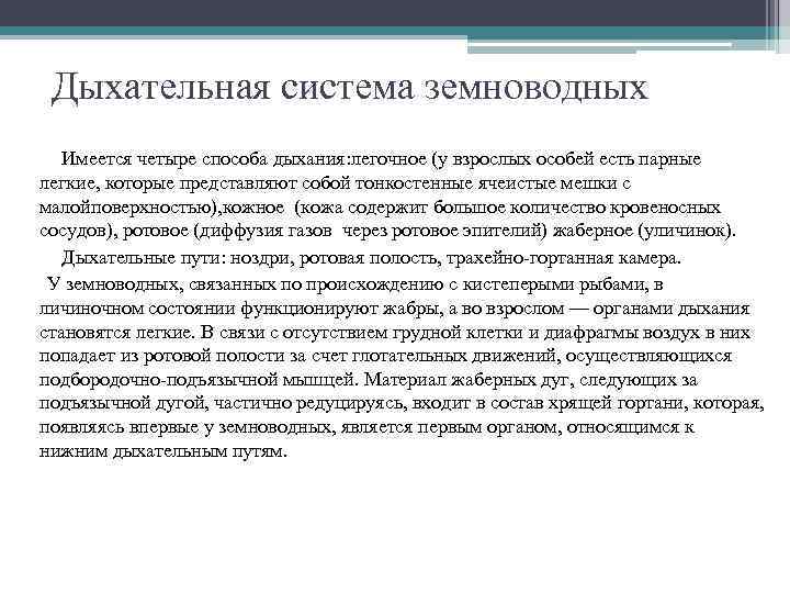 Дыхательная система земноводных Имеется четыре способа дыхания: легочное (у взрослых особей есть парные легкие,