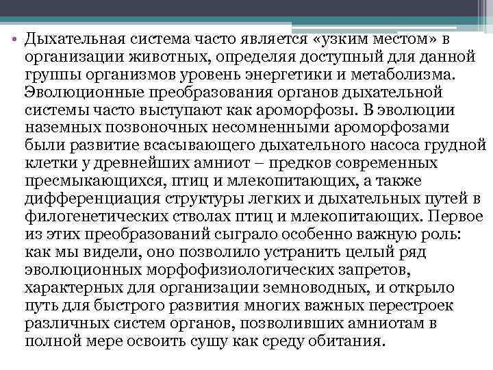  • Дыхательная система часто является «узким местом» в организации животных, определяя доступный для