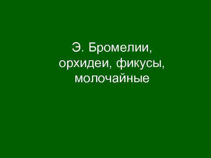 Э. Бромелии, орхидеи, фикусы, молочайные 