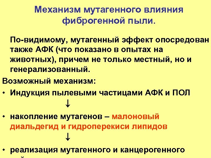 Механизм мутагенного влияния фиброгенной пыли. По-видимому, мутагенный эффект опосредован также АФК (что показано в