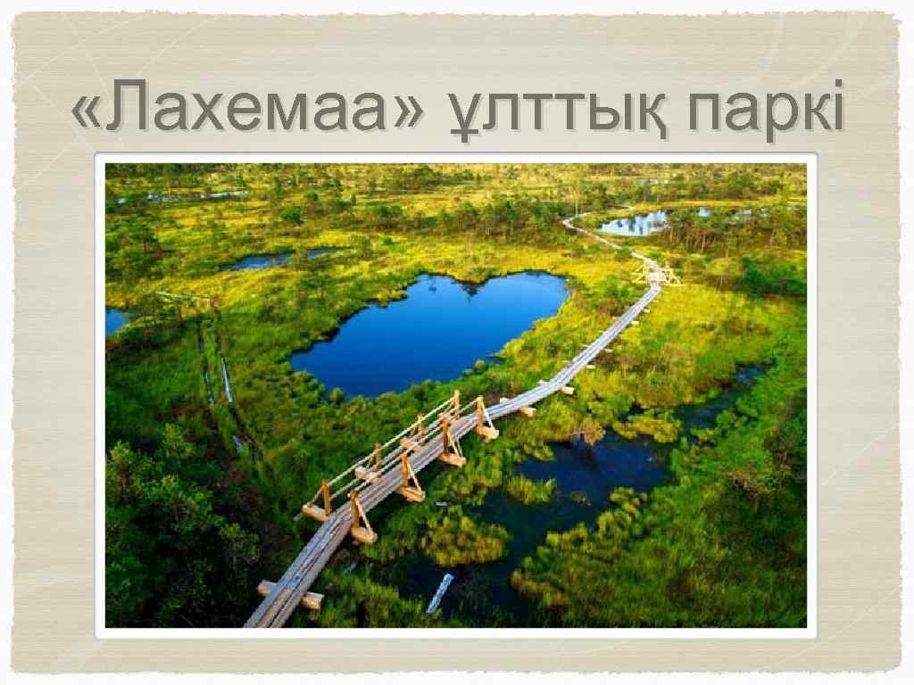  «Лахемаа» ұлттық паркі 