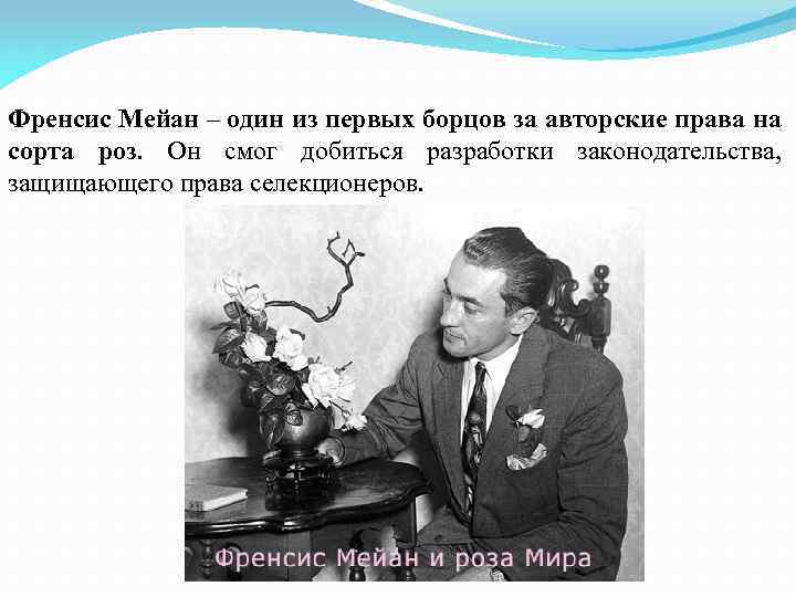 Френсис Мейан – один из первых борцов за авторские права на сорта роз. Он