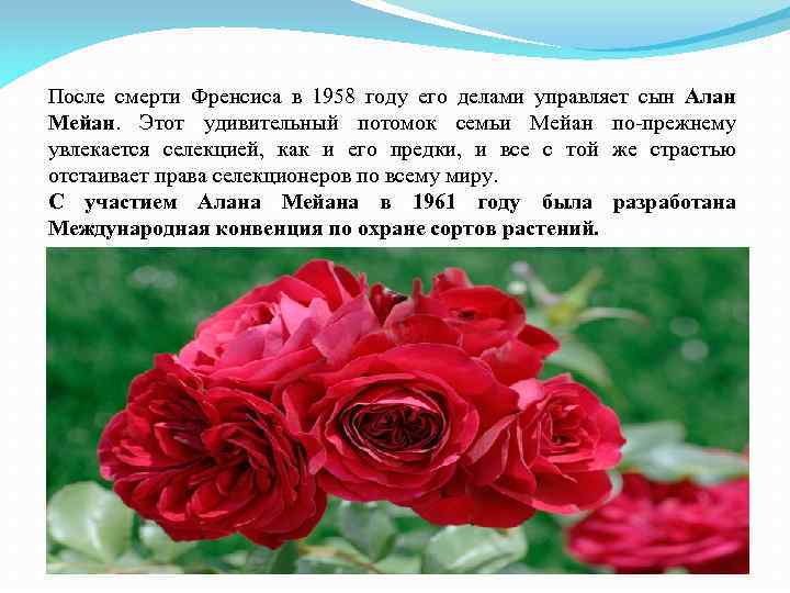 После смерти Френсиса в 1958 году его делами управляет сын Алан Мейан. Этот удивительный
