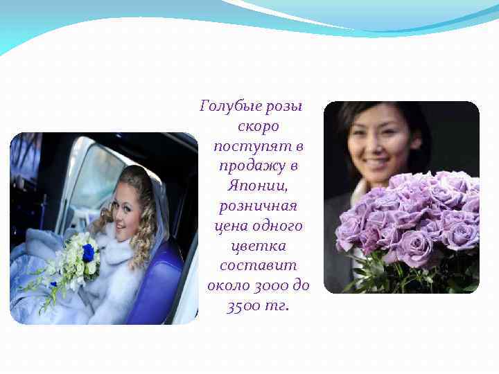 Голубые розы скоро поступят в продажу в Японии, розничная цена одного цветка составит около