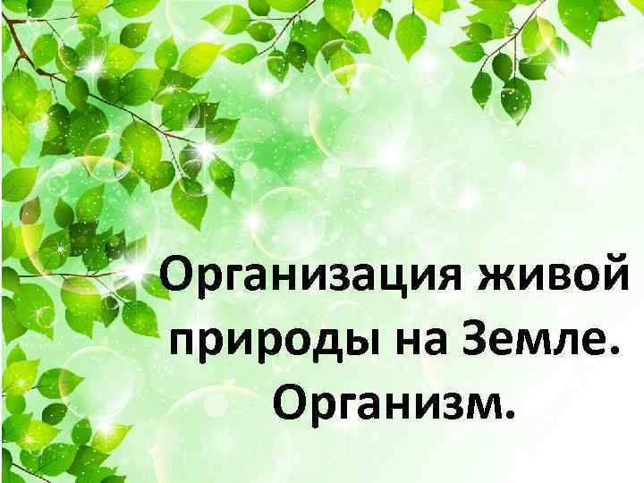 Организация живой природы на Земле. Организм. 