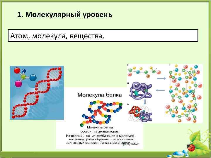 1. Молекулярный уровень Атом, молекула, вещества. 