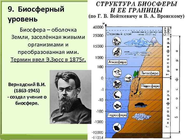 Оболочка земли заселенная живыми организмами называется