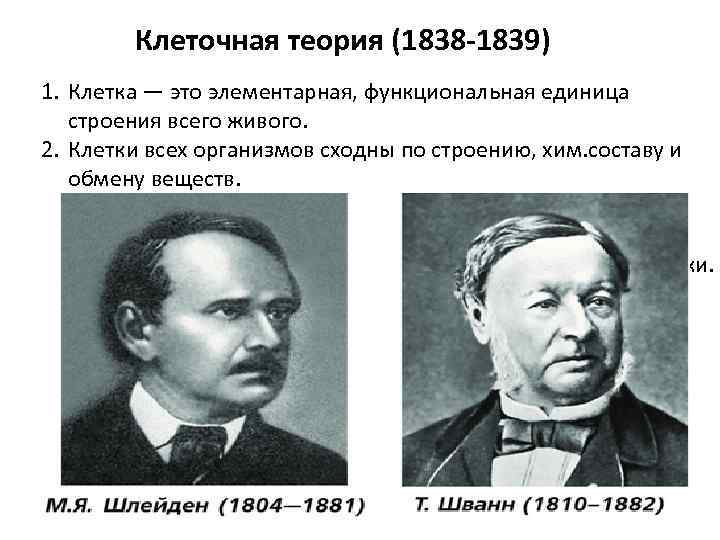 Клеточная теория (1838 -1839) 1. Клетка — это элементарная, функциональная единица строения всего живого.