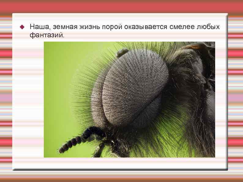  Наша, земная жизнь порой оказывается смелее любых фантазий. 