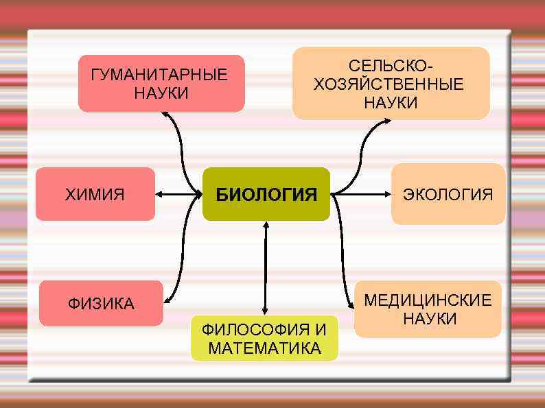 Биология относятся к наукам