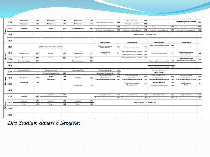 Das Studium dauert 8 Semester 