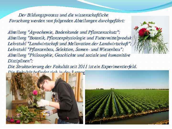 Der Bildungsprozess und die wissenschaftliche Forschung werden von folgenden Abteilungen durchgeführt: Abteilung "Agrochemie,