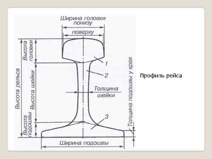 Ширина головки