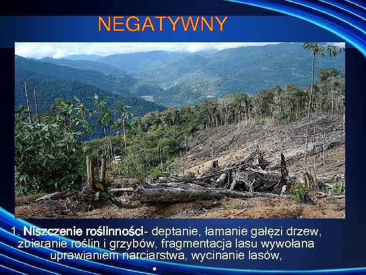 NEGATYWNY • 1. Niszczenie roślinności deptanie, łamanie gałęzi drzew, zbieranie roślin i grzybów, fragmentacja