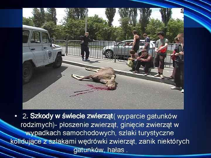  • 2. Szkody w świecie zwierząt( wyparcie gatunków rodzimych) płoszenie zwierząt, ginięcie zwierząt