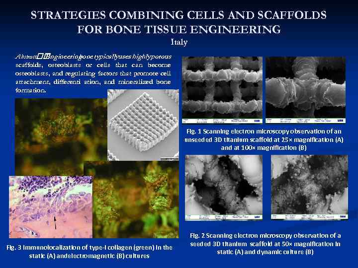 STRATEGIES COMBINING CELLS AND SCAFFOLDS FOR BONE TISSUE ENGINEERING Italy Abstract Engineering bone typicallyuses