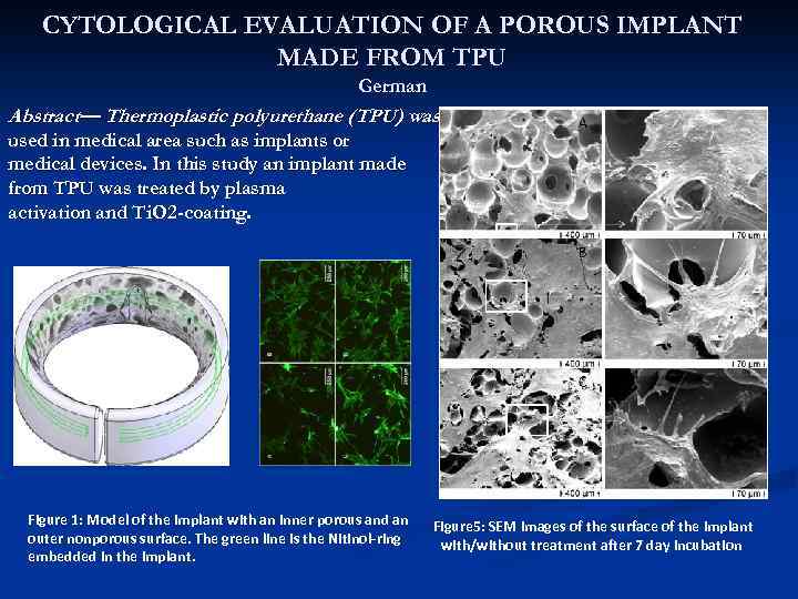 CYTOLOGICAL EVALUATION OF A POROUS IMPLANT MADE FROM TPU German Abstract— Thermoplastic polyurethane (TPU)