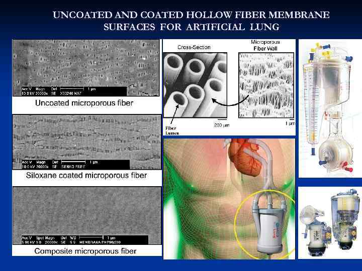 UNCOATED AND COATED HOLLOW FIBER MEMBRANE SURFACES FOR ARTIFICIAL LUNG 