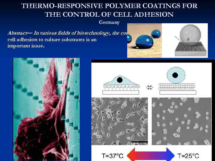 THERMO-RESPONSIVE POLYMER COATINGS FOR THE CONTROL OF CELL ADHESION Germany Abstract— In various fields