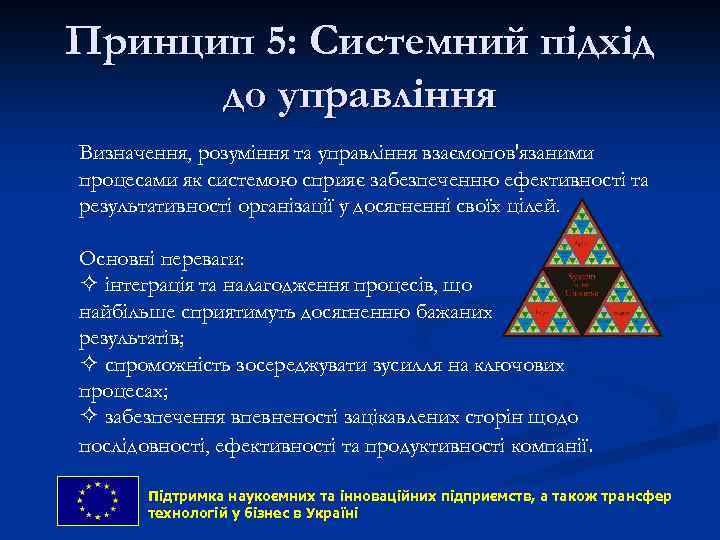 Принцип 5: Системний підхід до управління Визначення, розуміння та управління взаємопов'язаними процесами як системою