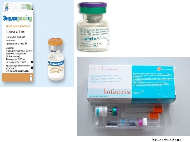 https: //yandex. ua/images 