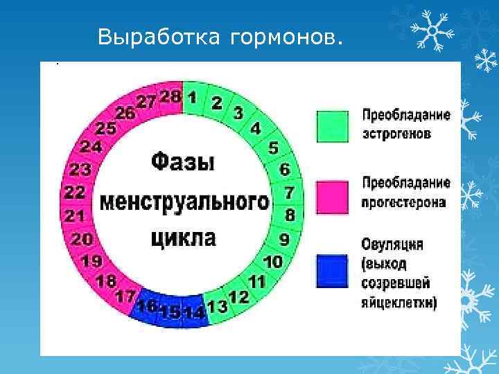 Выработка гормонов. 