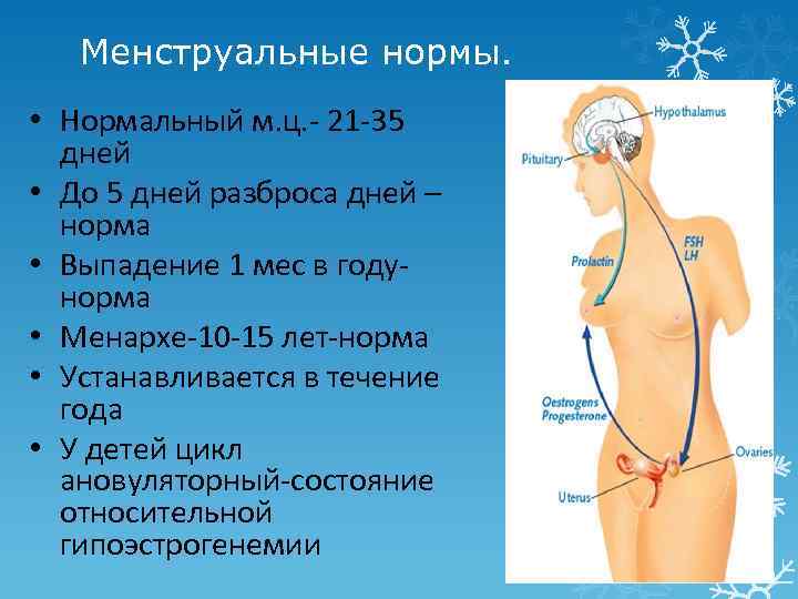 Менструальные нормы. • Нормальный м. ц. - 21 -35 дней • До 5 дней