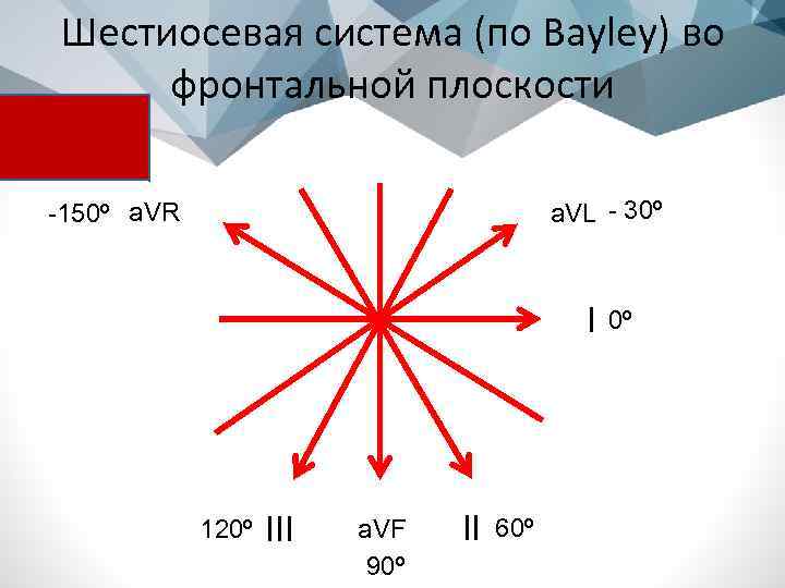 Шестиосевая система (по Bayley) во фронтальной плоскости a. VL - 30º -150º a. VR