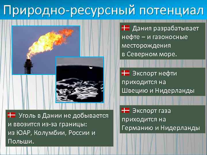 Природно-ресурсный потенциал Дания разрабатывает нефте – и газоносные месторождения в Северном море. Экспорт нефти